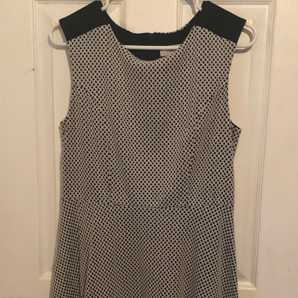 Loft Dress Black and White